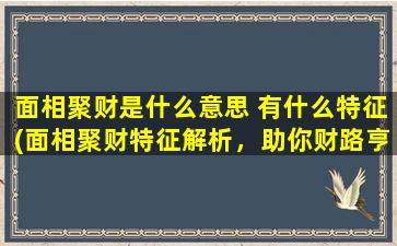 面相聚财是什么意思 有什么特征(面相聚财特征解析，助你财路亨通)